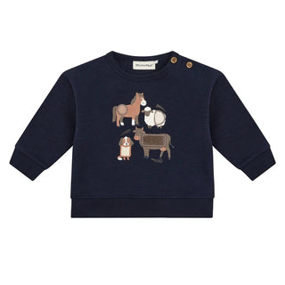 Crew-neck Sweater (3-12 Months)