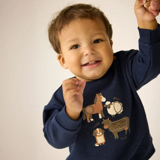 Crew-neck Sweater (3-12 Months)