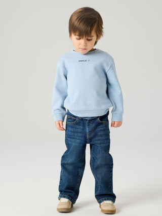 Regular fit jeans (2-6 Years)