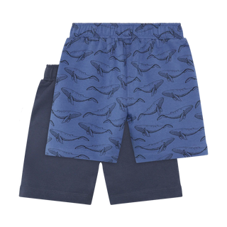 Pack of 2 shorts