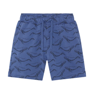 Pack of 2 shorts