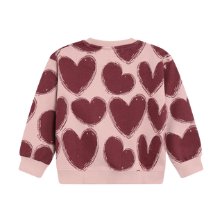 Crew Neck Sweater (2-10 Years)