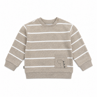 Dinosaur Fleece Sweatshirt (6 months- 4 years)