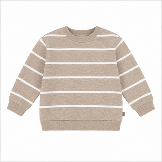 Dinosaur Fleece Sweatshirt (6 months- 4 years)