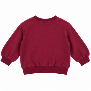 Sweatshirt (2–8 years)