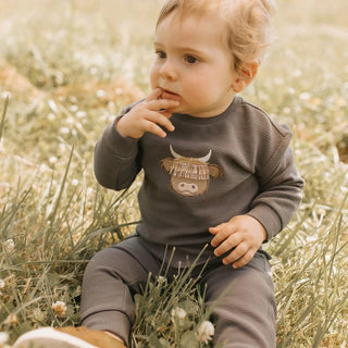 Set (3-24 Months)