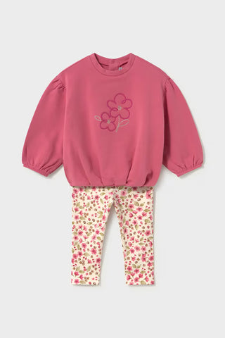Set (6 Months-2 Years)