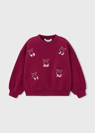Fleece Sweatshirt (Ages 2-8)