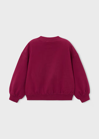 Fleece Sweatshirt (Ages 2-8)