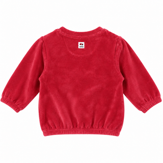 (3 months–24 months)