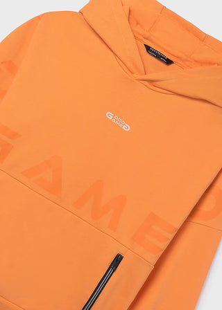 Sweat zippé à capuche garçon (8-16Ans)