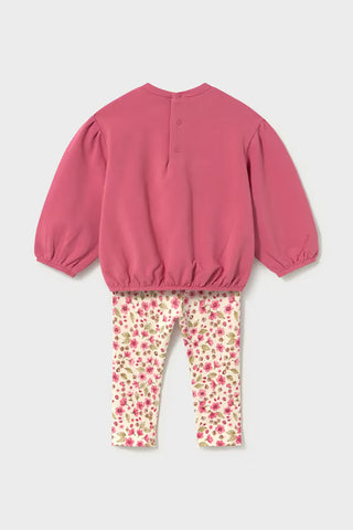 Set (6 Months-2 Years)