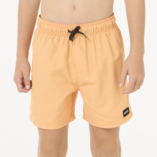 Offset Volley Swim Shorts