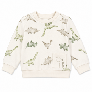 Dinosaur Crew Neck Sweatshirt (6 Months-4 Years)