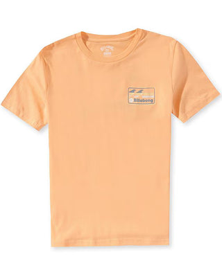 Billabong T-shirt (8-20 Years)
