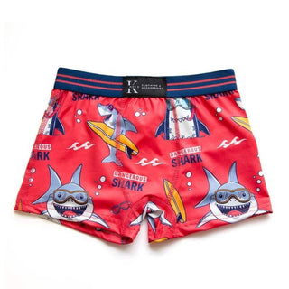 Boxer