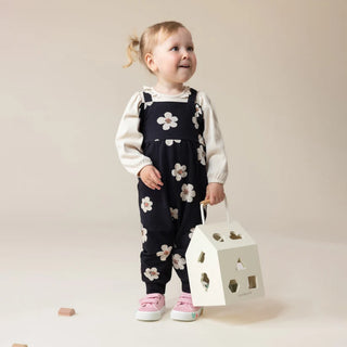Set (3-24 Months)