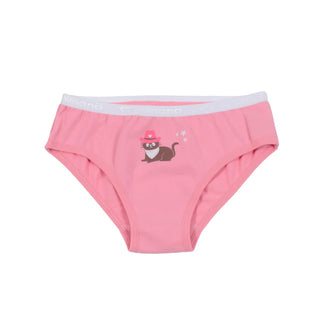 Pack of 3 briefs (2-12 years)