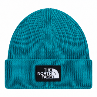 Teenage beanie