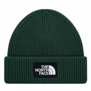 Teenage beanie
