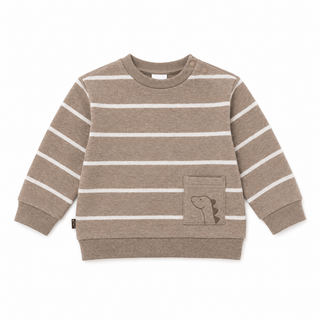Dinosaur Fleece Sweatshirt (6 months- 4 years)